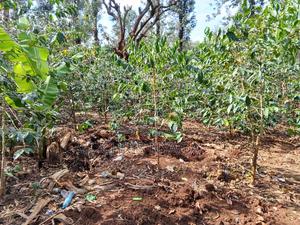 Land on Sale - main view