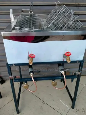 Gas Double Fryer