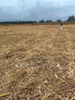 Eldoret Annex Prime 1⁄8 and 1⁄4 Acre Plots on Sale