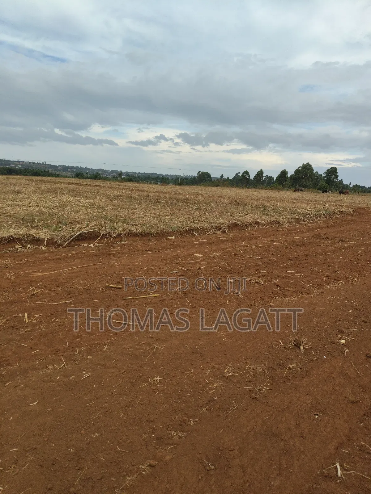 Eldoret Annex Prime 1⁄8 and 1⁄4 Acre Plots on Sale