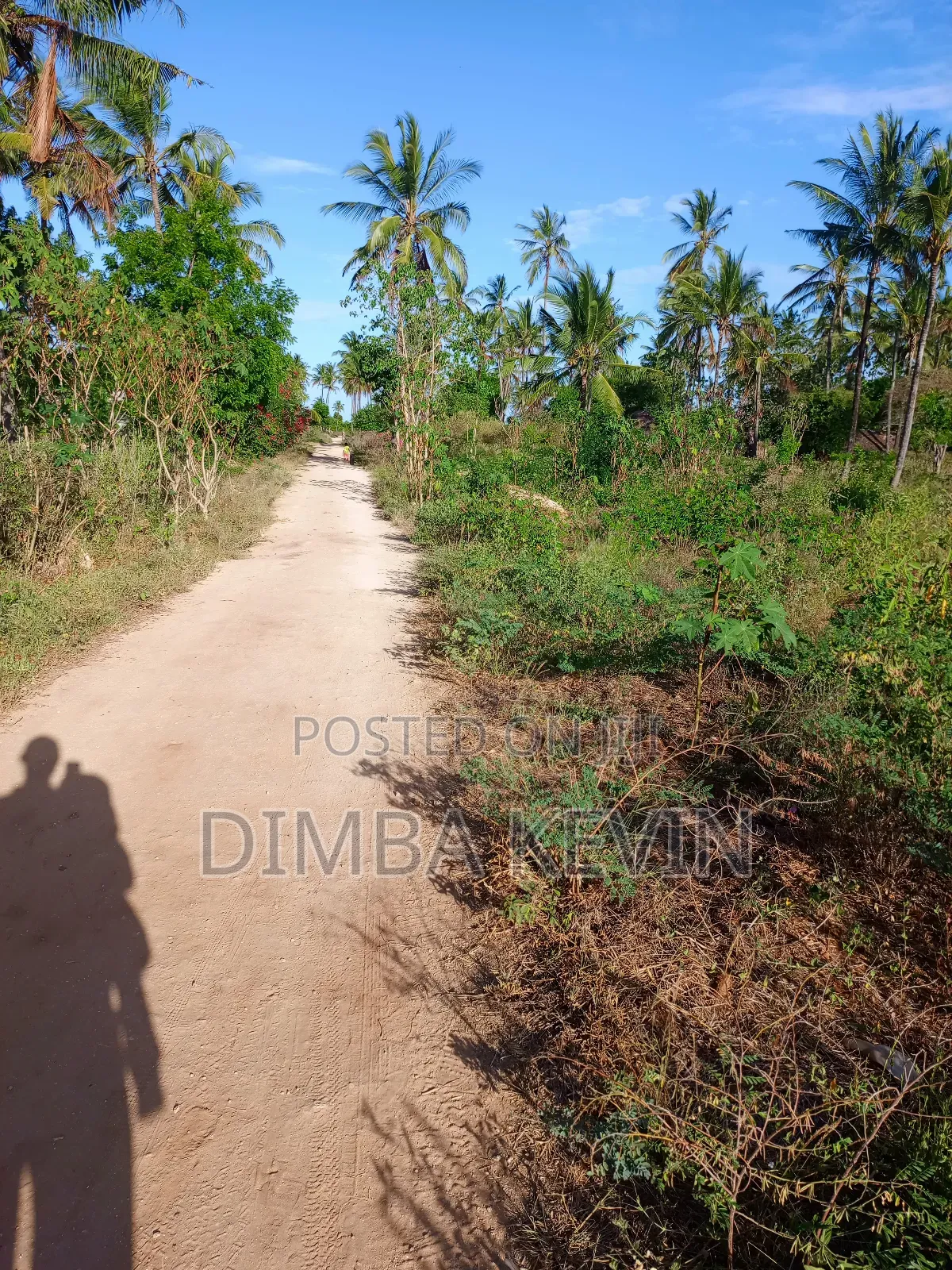An Acre Land in Gede - Mida Creek