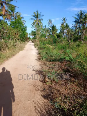 An Acre Land in Gede - Mida Creek