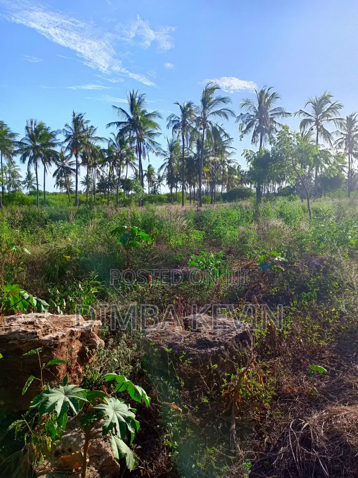 An Acre Land in Gede - Mida Creek