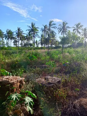 An Acre Land in Gede - Mida Creek