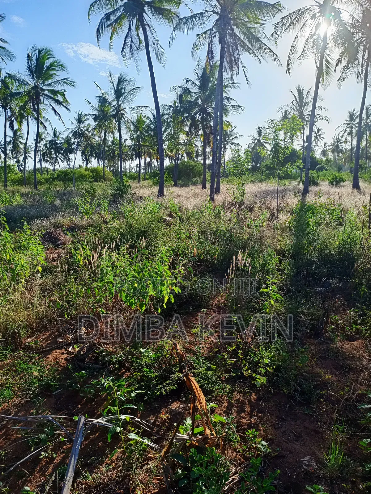 An Acre Land in Gede - Mida Creek