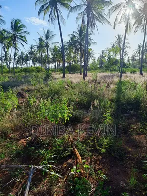 An Acre Land in Gede - Mida Creek