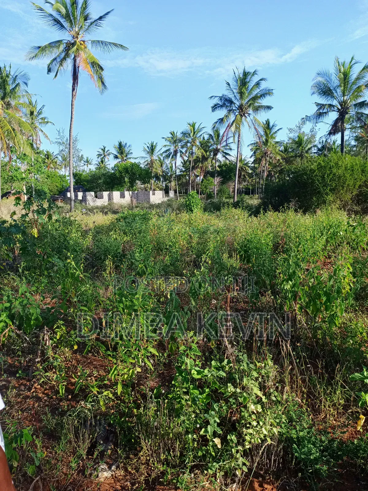 An Acre Land in Gede - Mida Creek