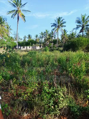 An Acre Land in Gede - Mida Creek