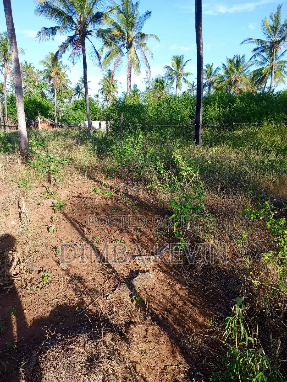An Acre Land in Gede - Mida Creek
