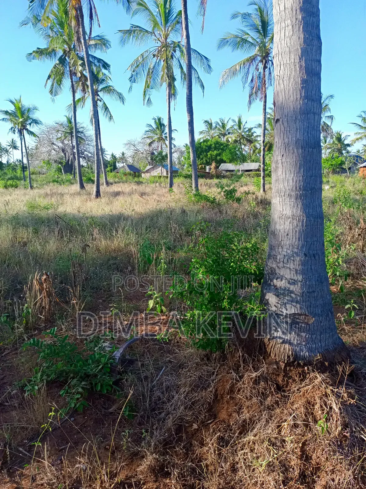 An Acre Land in Gede - Mida Creek
