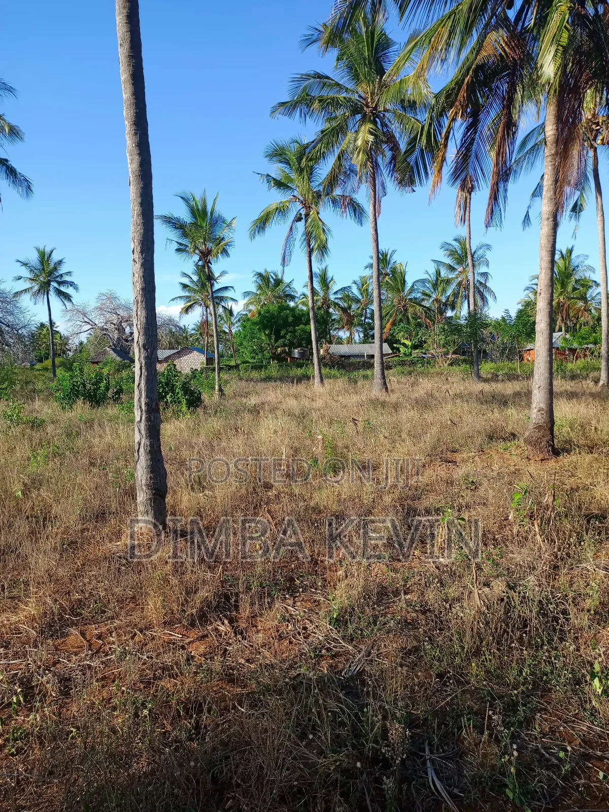 An Acre Land in Gede - Mida Creek