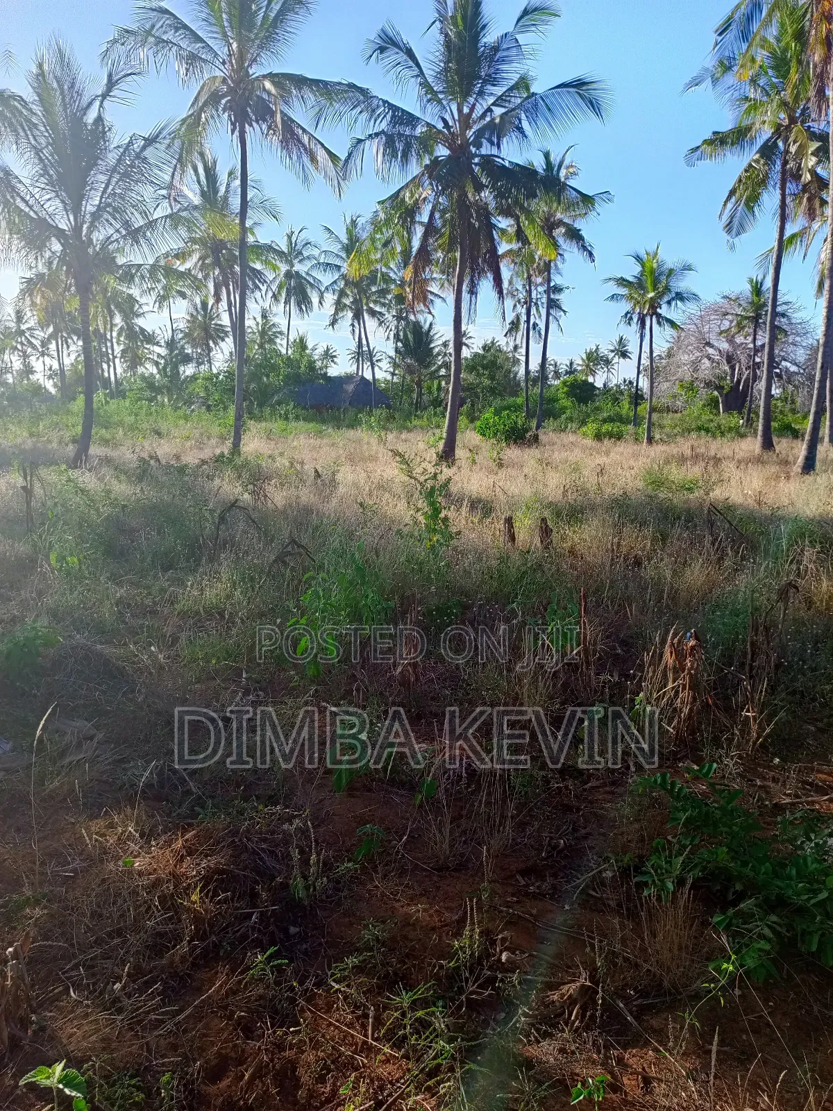 An Acre Land in Gede - Mida Creek