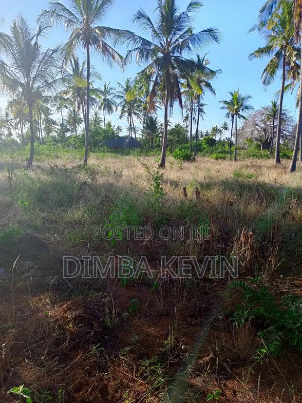 An Acre Land in Gede - Mida Creek - thumbnail 9