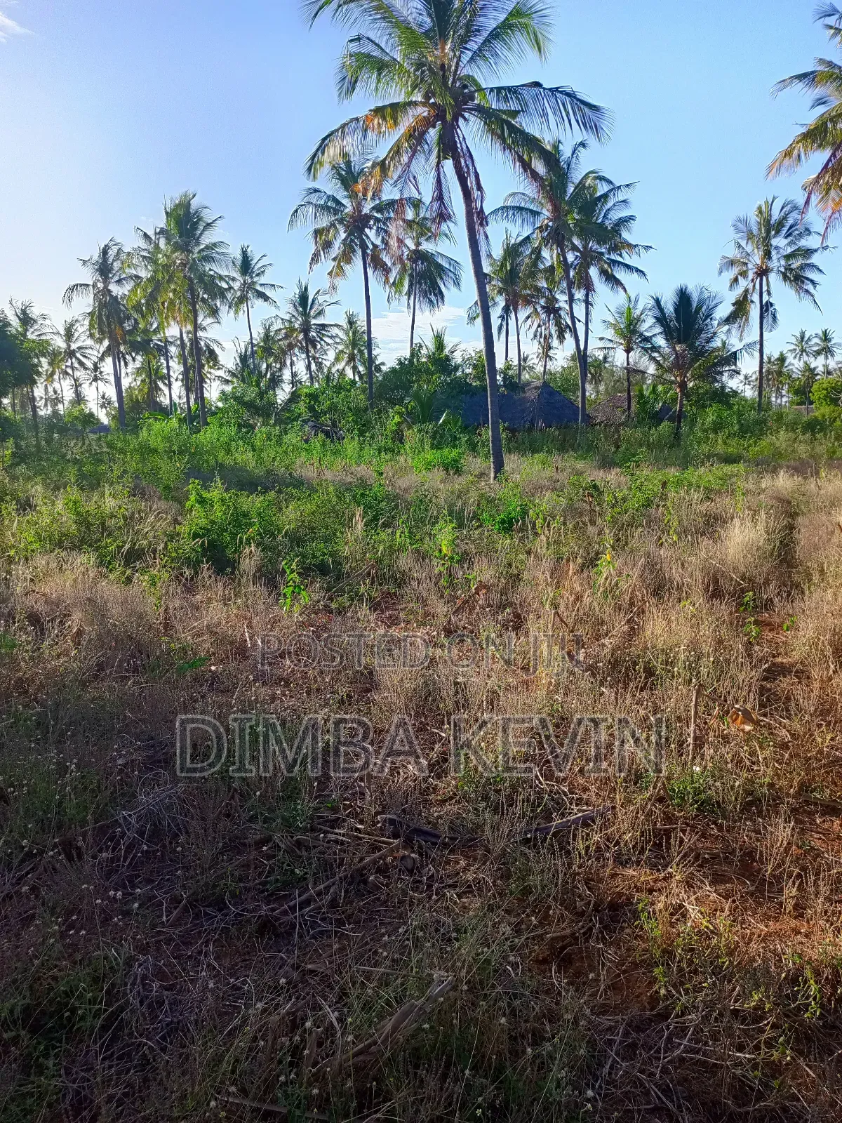 An Acre Land in Gede - Mida Creek