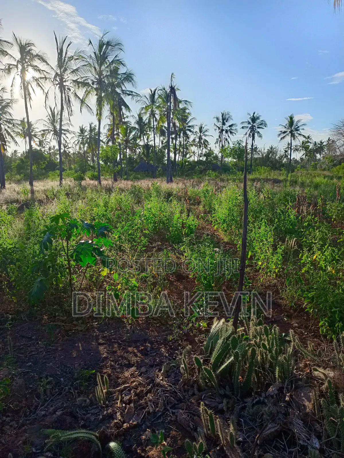An Acre Land in Gede - Mida Creek