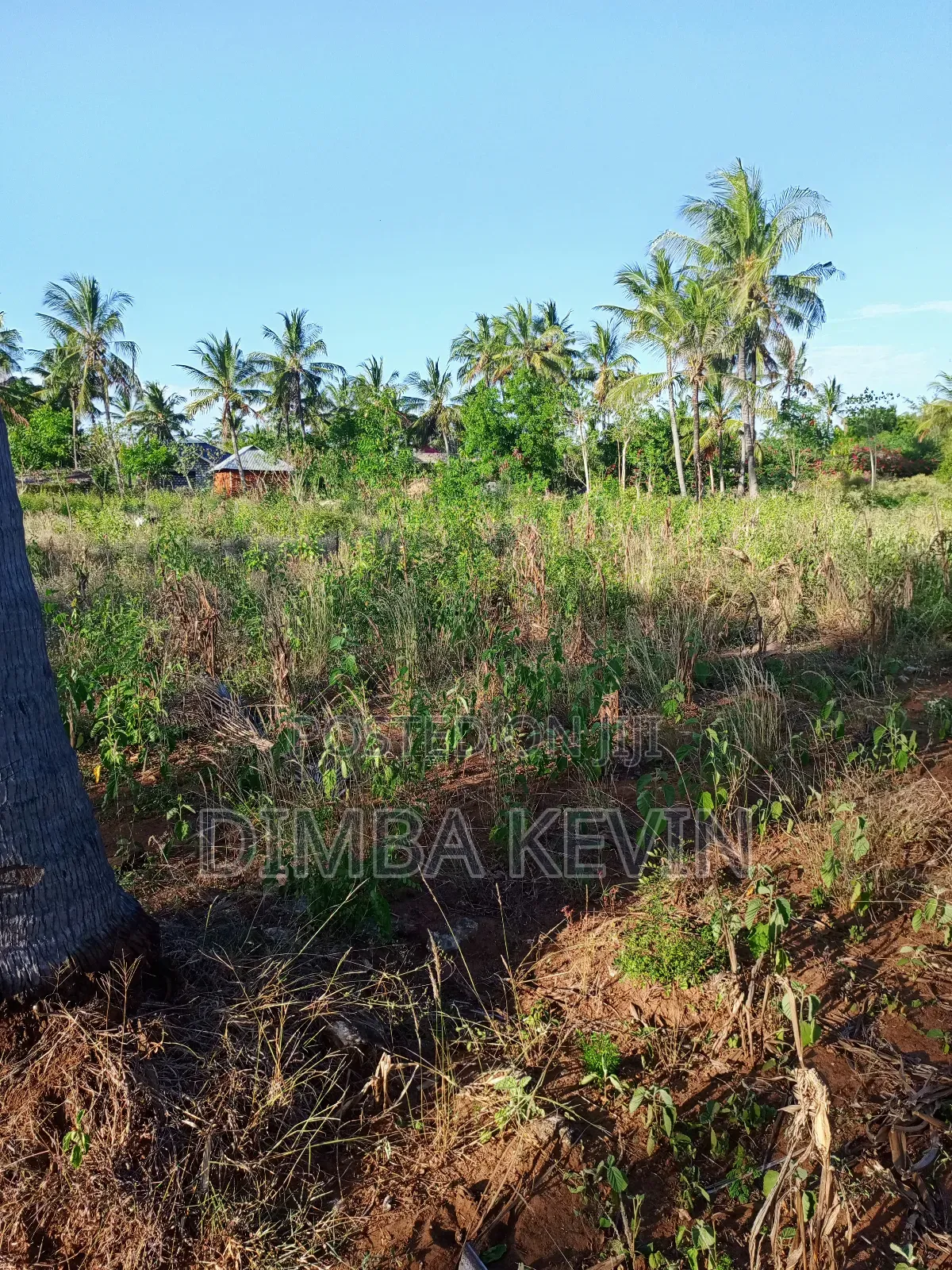 An Acre Land in Gede - Mida Creek