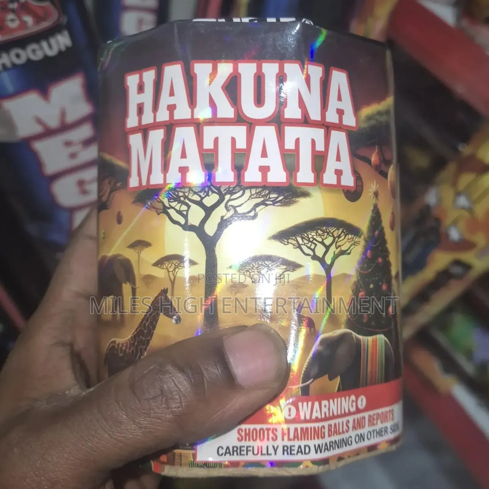 Hakuna Matata Fireworks Display in Kenya