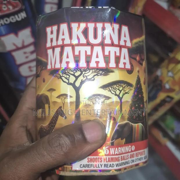 Hakuna Matata Fireworks Display in Kenya - main view
