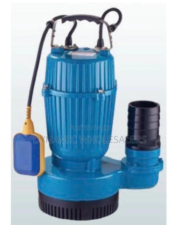 Premier QDX 5hp Sewage Pump