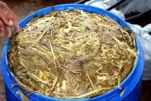 Lockable Silage Drum Customized Feed/Water Troughs