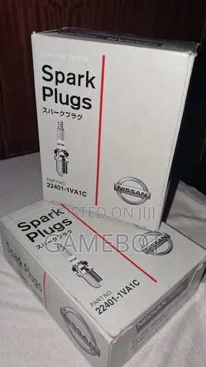 Iridium Spark Plugs