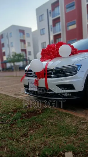 Car Gift Bow and Large Gifts Bow
