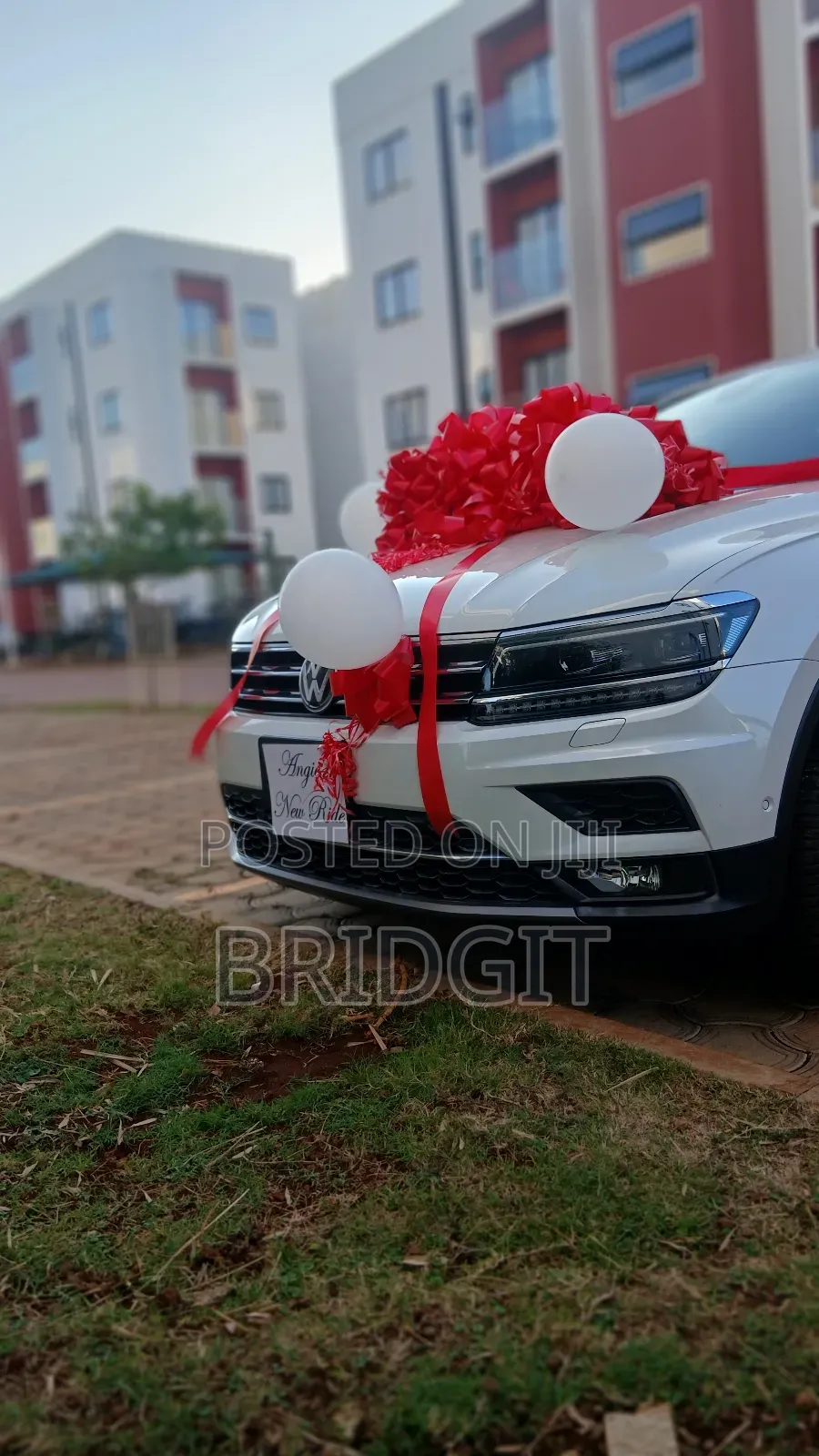 Car Gift Bow and Large Gifts Bow