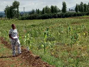 50by100 Plots in Nakuru Mutaita Jogoo Area