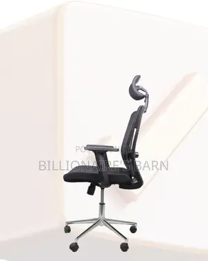 Adjustable Mesh Work Chair | Premium Look, Daily Comfort