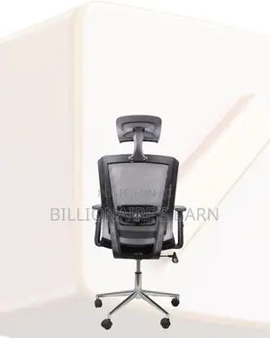 Adjustable Mesh Work Chair | Premium Look, Daily Comfort