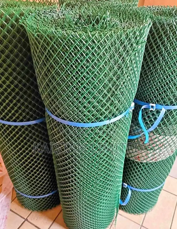 Plastic Poultry Mesh / Plastic Chicken Mesh / Fencing Mesh
