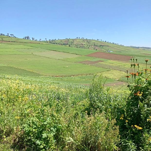 Big Land for Lease or Purchase - main view