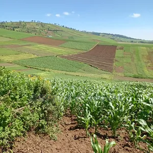 Big Land for Lease or Purchase