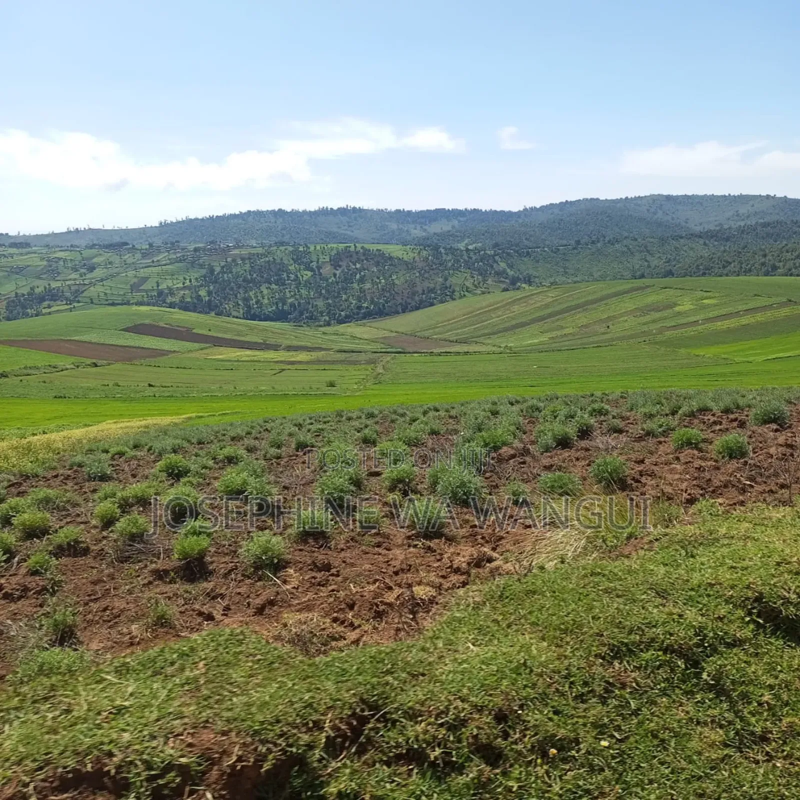 Big Land for Lease or Purchase