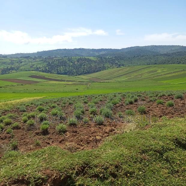 Big Land for Lease or Purchase - thumbnail 4