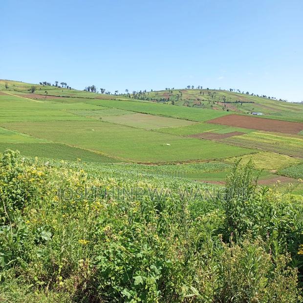 Big Land for Lease or Purchase - thumbnail 5