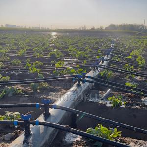 16 Mm Drip Irrigation Belt Is the First Choice for Smart Agriculture.