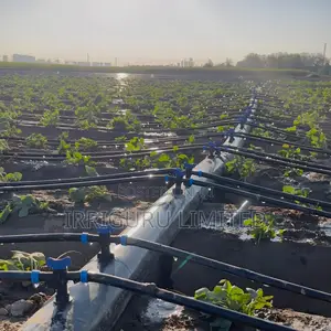 16 Mm Drip Irrigation Belt Is the First Choice for Smart Agriculture.