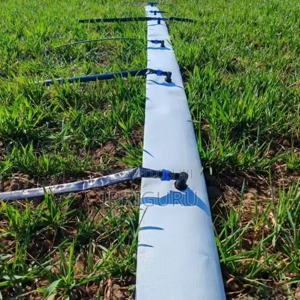 Drip Irrigation Belt for Water-Saving Irrigation in Wheat Farm.