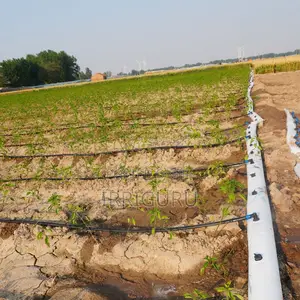 Nourish One Seedling, Flourish a Field of Green—Precision Irrigation C