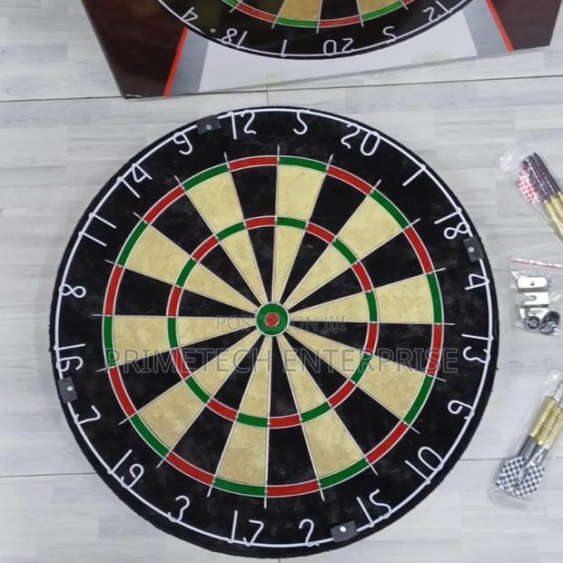 Professional Original Dart Board - main view