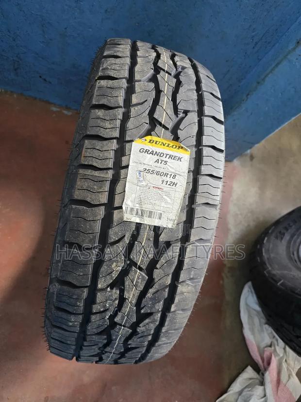 255/60r18 Dunlop Tyre - main view