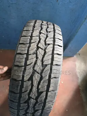 255/60r18 Dunlop Tyre