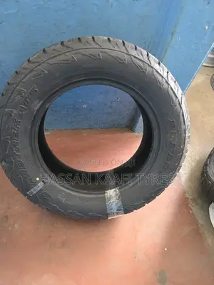 255/60r18 Dunlop Tyre
