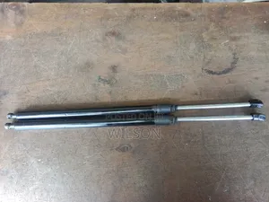Lexus Rx450h Boot Shocks