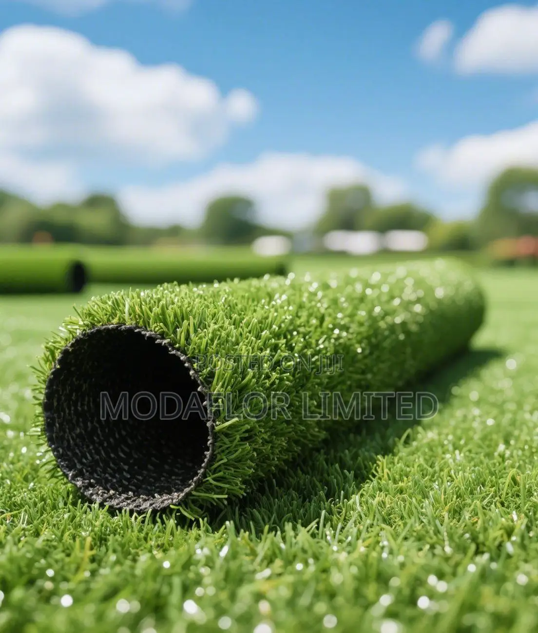 Pet-Friendly Artificial Grass Carpet
