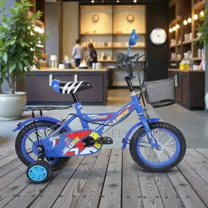 12,14,16 Inch 2–11 Years Children Kids Vibrant Cartoon Bike Low-Cost