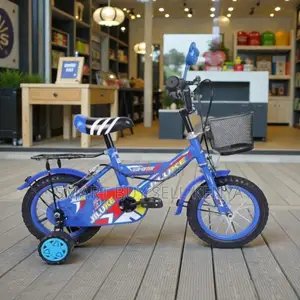 12,14,16 Inch 2–11 Years Children Kids Strong Frame Bike Cartoon Theme