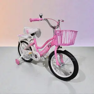 Premium Quality 16 Inch 4-7 Years Children Kids Bike With Bracket