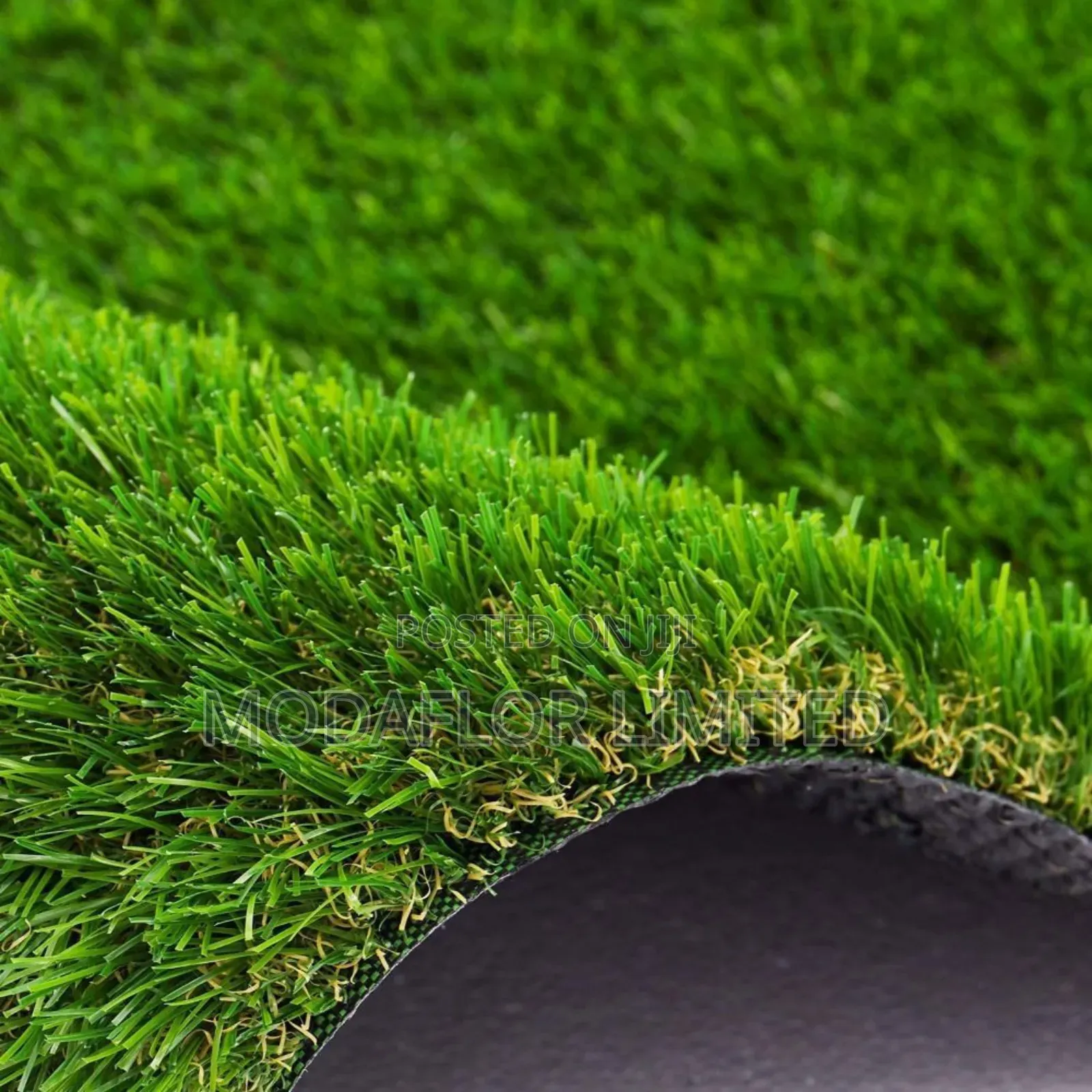 Affordable Artificial Grass Carpet – Ready Stock